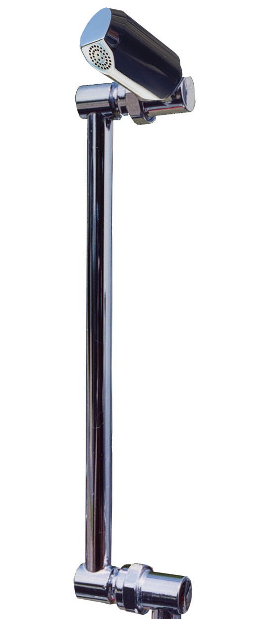 Sapphire Rose with a Long Arm - Image 4